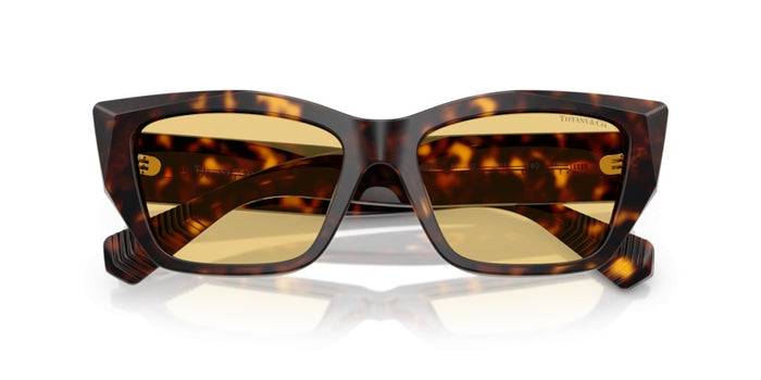 Gafas de Sol Tiffany&Co TF4230 8015/7 54 17 — vista 5