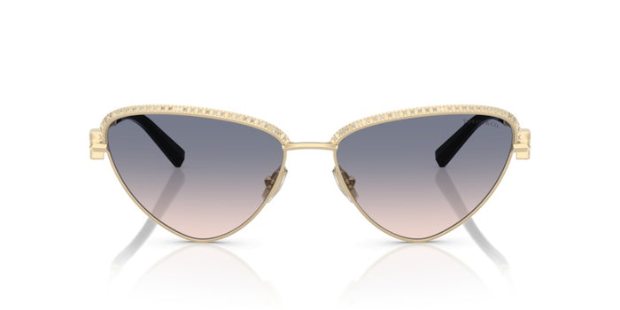 Tiffany&Co TF3107KB 622116 59 16 太阳镜 — vista 2