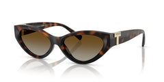 Sonnenbrillen Tiffany&Co TF4225U 8015T5 54 17