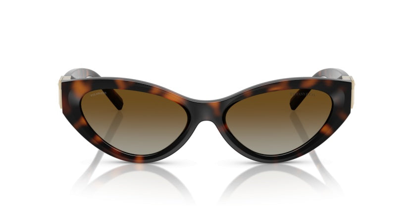 Gafas de Sol Tiffany&Co TF4225U 8015T5 54 17
