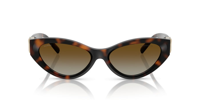 Gafas de Sol Tiffany&Co TF4225U 8015T5 54 17 — vista 2