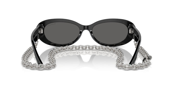 Tiffany&Co TF4221 8001S4 54 17 太阳镜 — vista 4