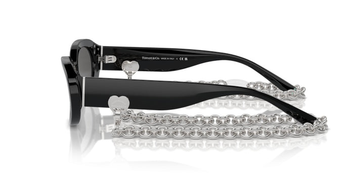 Tiffany&Co TF4221 8001S4 54 17 太阳镜 — vista 3