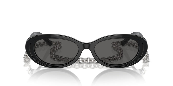 Tiffany&Co TF4221 8001S4 54 17 太阳镜 — vista 2