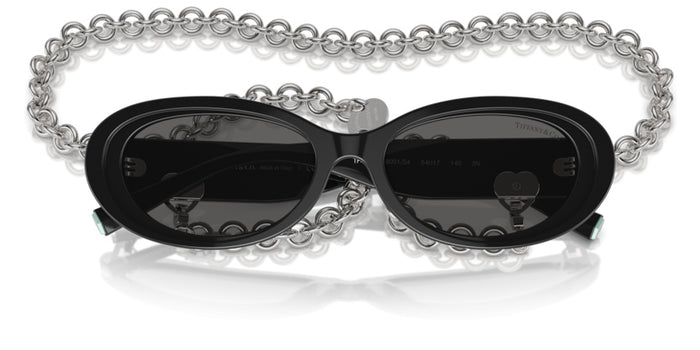 Tiffany&Co TF4221 8001S4 54 17 太阳镜 — vista 5