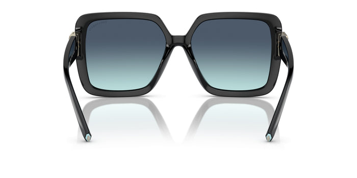 Sunglasses Tiffany&Co TF4206U 80019S 58 16 — vista 5