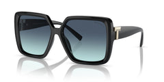 Sunglasses Tiffany&Co TF4206U 80019S 58 16
