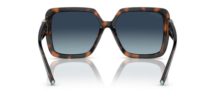 Sunglasses Tiffany&Co TF4206U 80154U 58 16 — vista 5