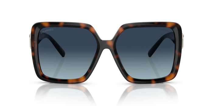 Sunglasses Tiffany&Co TF4206U 80154U 58 16 — vista 2