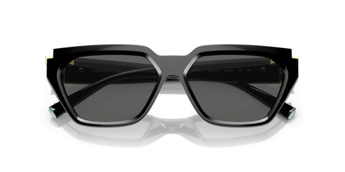Sonnenbrillen Tiffany&Co TF4205U 8001S4 56 14 — vista 5