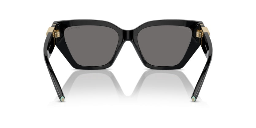 Gafas de Sol Tiffany&Co TF4218 800181 55 17