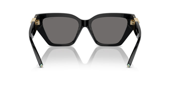 Sunglasses Tiffany&Co TF4218 800181 55 17 — vista 4