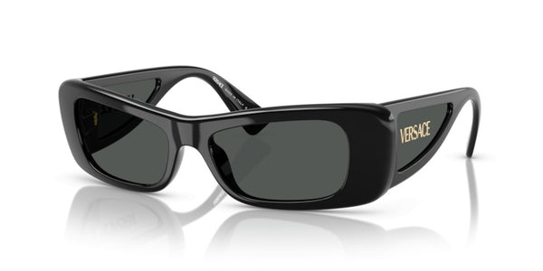 Gafas de Sol Versace VE4481 GB1/87 54 17