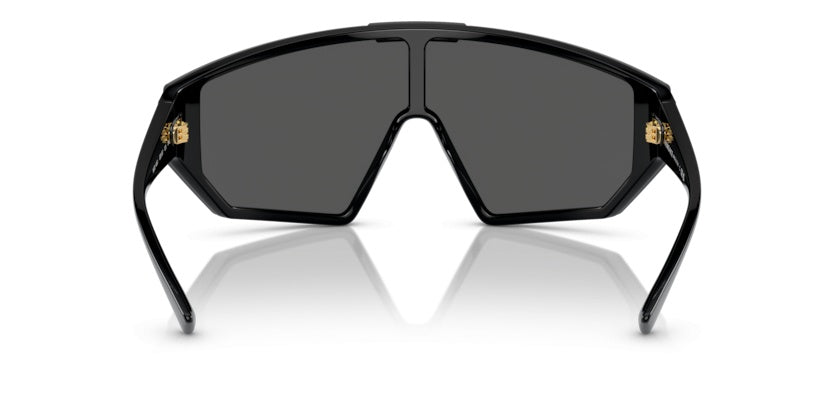 Gafas de Sol Versace VE4461 GB1/87 147 00