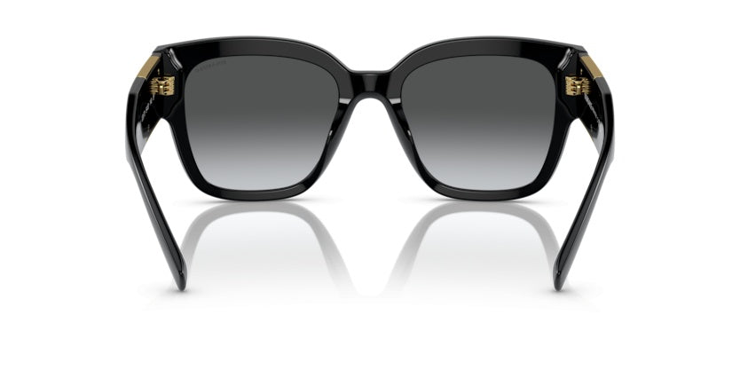Gafas de Sol Versace VE4437U GB1/T3 54 20