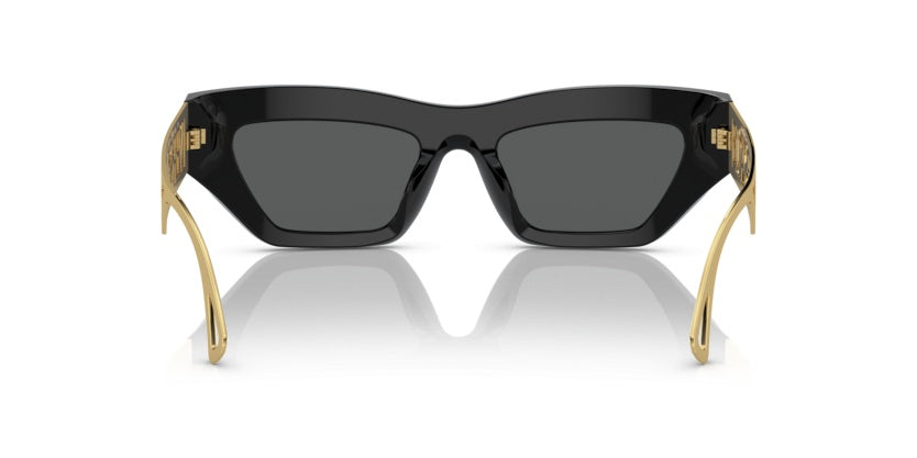 Gafas de Sol Versace VE4466U GB1/87 54 19