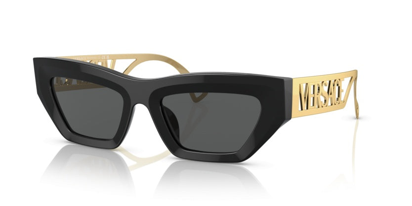 Gafas de Sol Versace VE4466U GB1/87 54 19