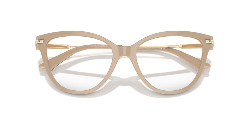 Очки для зрения Jimmy Choo JC3001B 5015 52 17
