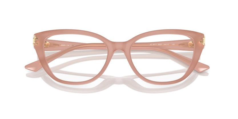 Очки для зрения Jimmy Choo JC3011 5027 54 17