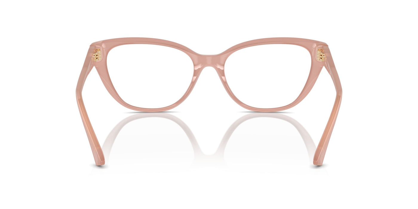 Очки для зрения Jimmy Choo JC3011 5027 54 17