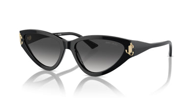 Sonnenbrillen Jimmy Choo JC5019 50008G 55 16