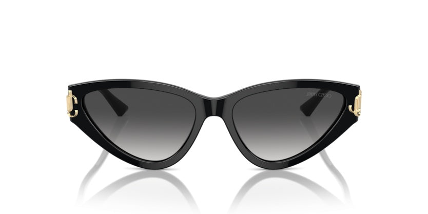 Солнцезащитные очки Jimmy Choo JC5019 50008G 55 16
