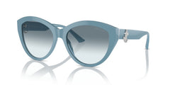 Sunglasses Jimmy Choo Magnified JC5007 501219 55 17