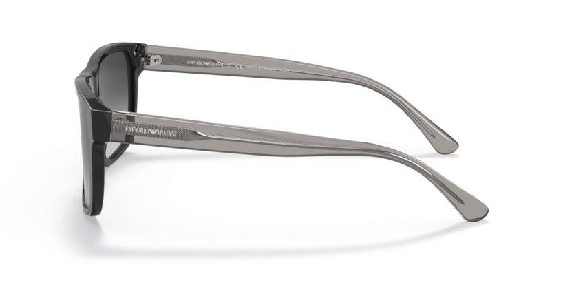 Gafas de Sol Emporio Armani EA4163 58758G 56 19