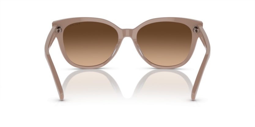 Gafas de Sol Ralph Lauren RA5305U 611674 56 17