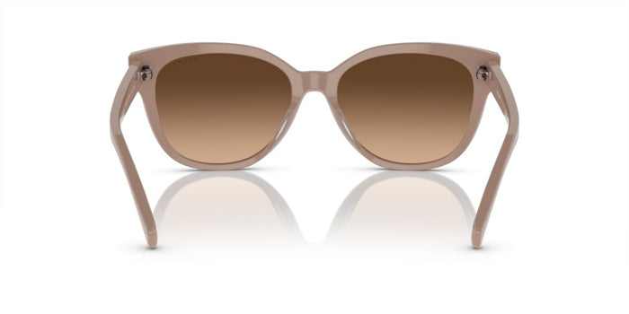 Sunglasses Ralph Lauren RA5305U 611674 56 17 — vista 4