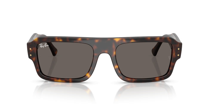Lunettes de Soleil Ray-Ban RB4454 1359B1 53 20 — vista 5