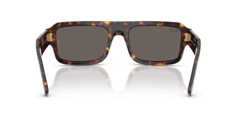 Gafas de Sol Ray-Ban RB4454 1359B1 53 20