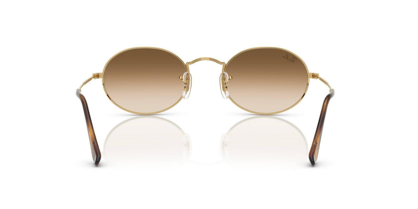 Gafas de Sol Ray-Ban Oval RB3547 001/51 54 21