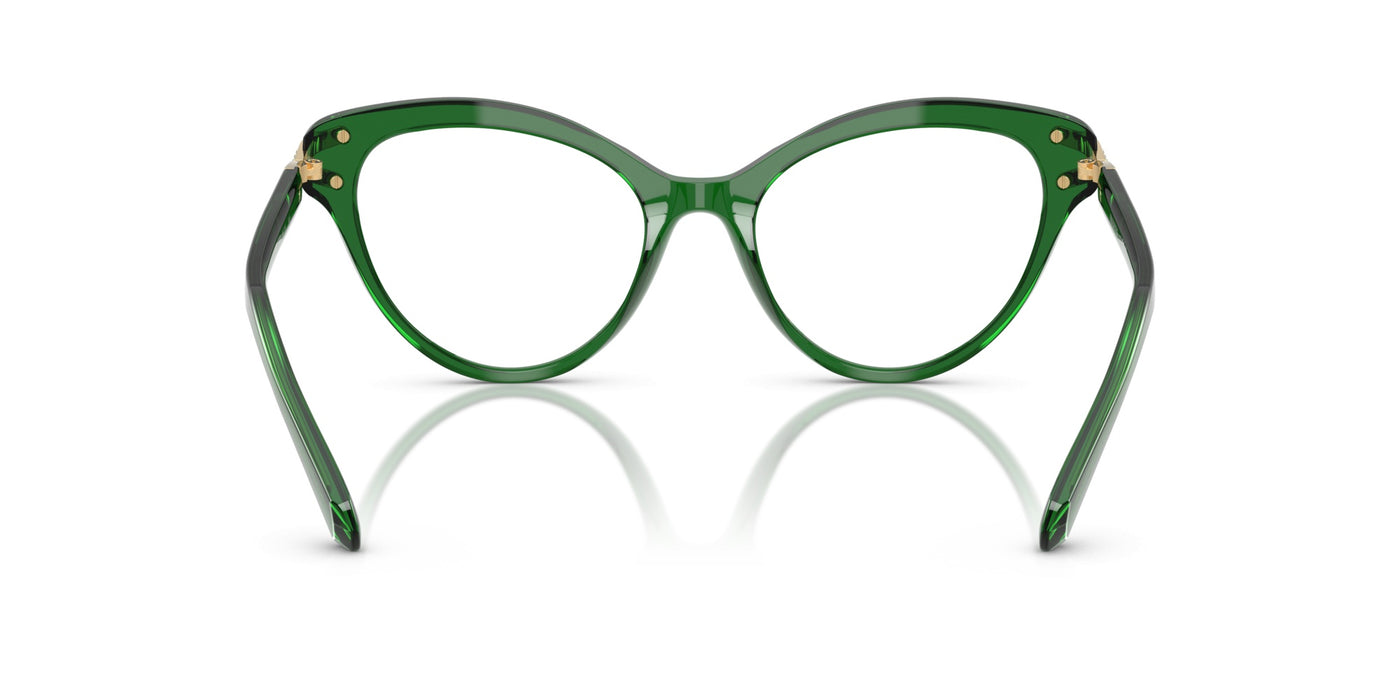 Gafas Graduadas Swarovski SK2030 1064 55 18