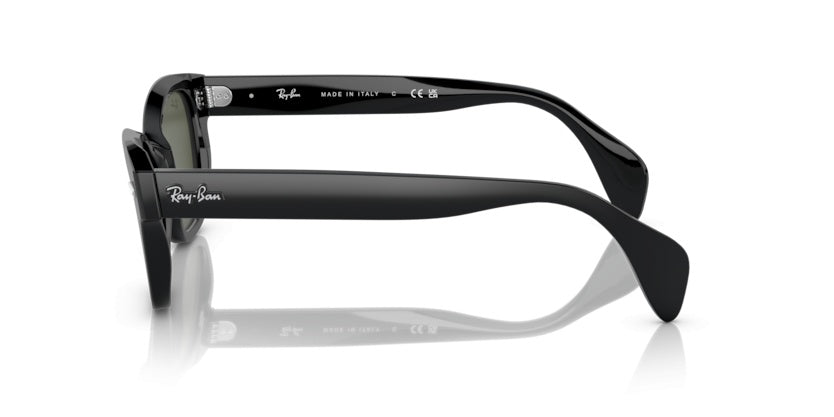 Gafas de Sol Ray-Ban RB0880S 901/31 52 19