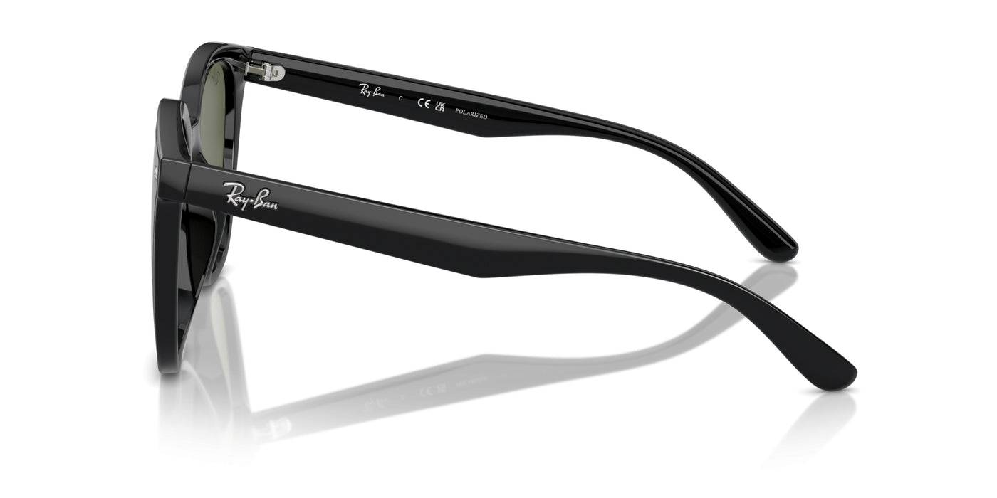 Gafas de Sol Ray-Ban RB4423D 601/9A 66 15