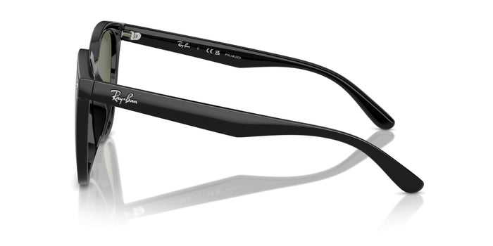 Sonnenbrillen Ray-Ban RB4423D 601/9A 66 15 — vista 7