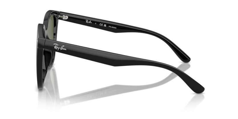 Gafas de Sol Ray-Ban RB4423D 601/9A 66 15
