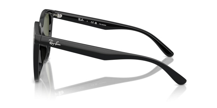 Sonnenbrillen Ray-Ban RB4423D 601/9A 66 15 — vista 3