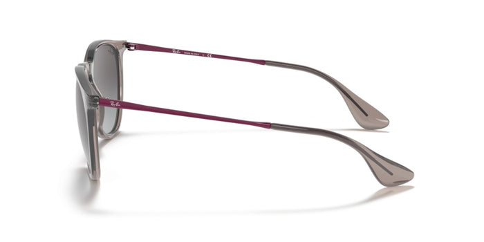 Sonnenbrillen Ray-Ban Erika RB4171 65138G 54 18 — vista 3