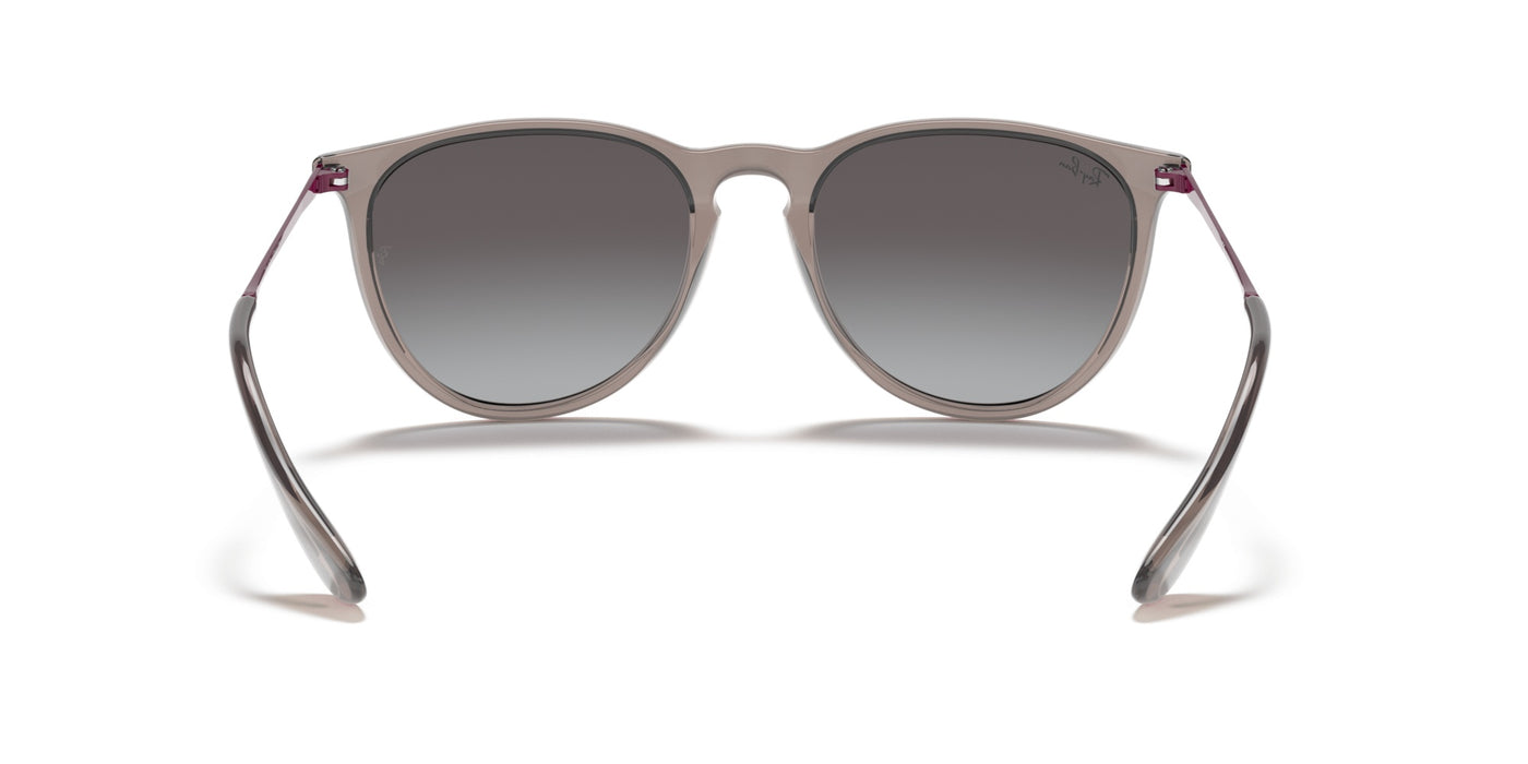 Gafas de Sol Ray-Ban Erika RB4171 65138G 54 18
