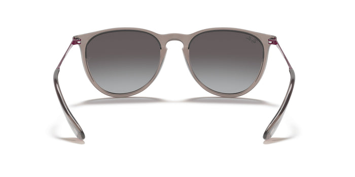 Sonnenbrillen Ray-Ban Erika RB4171 65138G 54 18 — vista 4