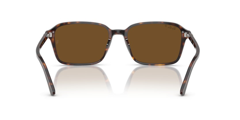 Gafas de Sol Ray-Ban Raimond RB2231 902/57 56 18