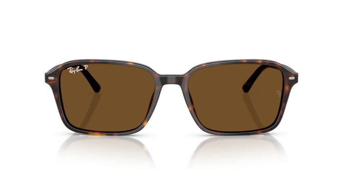 Gafas de Sol Ray-Ban Raimond RB2231 902/57 56 18 — vista 2