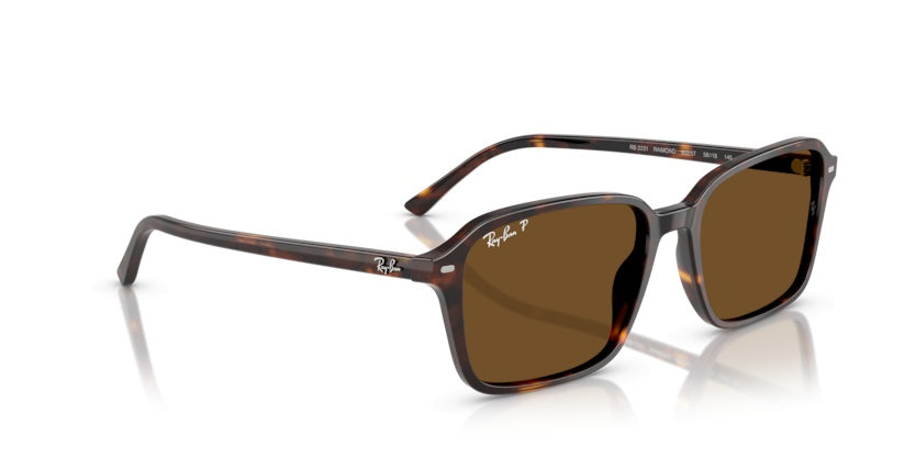 Gafas de Sol Ray-Ban Raimond RB2231 902/57 56 18