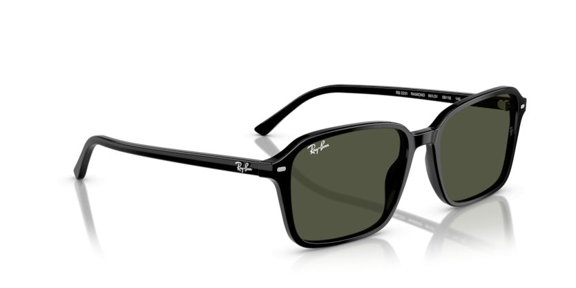 Gafas de Sol Ray-Ban Raimond RB2231 901/31 58 18