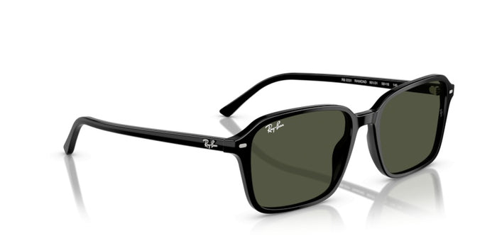 Gafas de Sol Ray-Ban Raimond RB2231 901/31 58 18 — vista 4