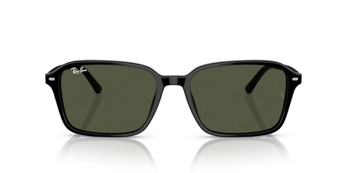 Gafas de Sol Ray-Ban Raimond RB2231 901/31 58 18 — vista 6