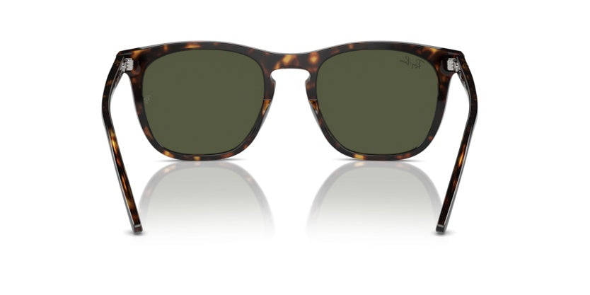 Gafas de Sol Ray-Ban RB2210 902/31 53 21