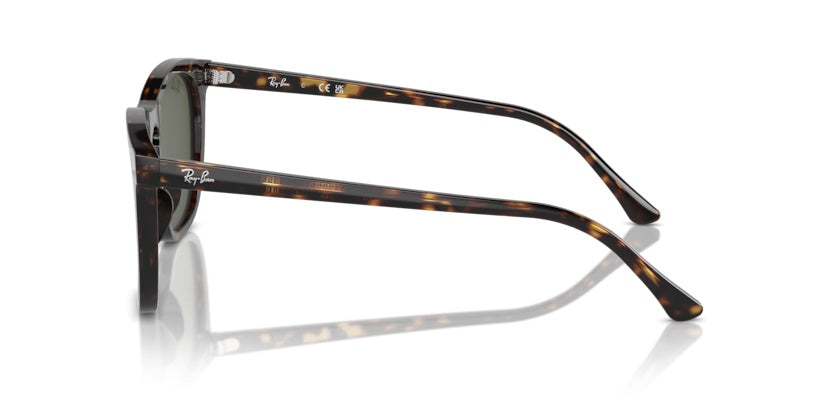 Gafas de Sol Ray-Ban RB2210 902/31 53 21